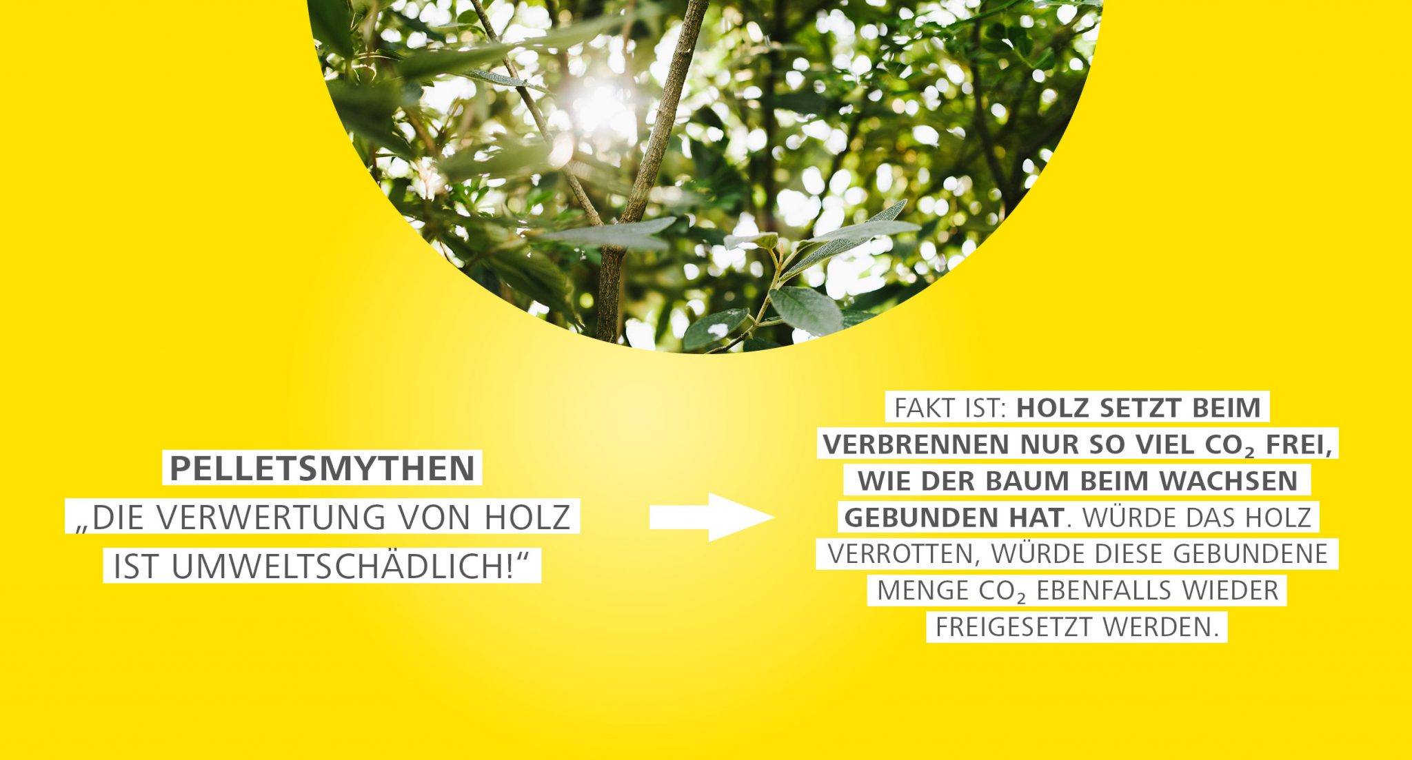 Featured image for “Heizen mit Holzpellets – Mythos 2”