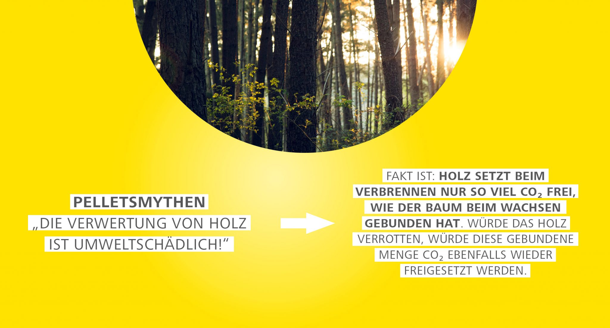 Featured image for “Heizen mit Holzpellets – Mythos 3”